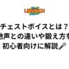 チェストボイスとは？地声との違いや鍛え方を初心者向けに解説🎤